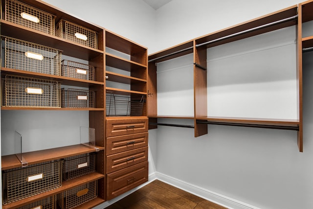 spacious closet featuring dark hardwood / wood-style floors