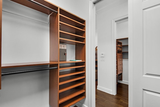 spacious closet featuring dark hardwood / wood-style floors