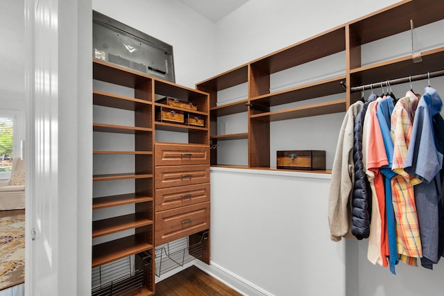 spacious closet with dark hardwood / wood-style flooring