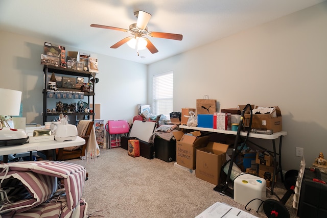 storage area with ceiling fan