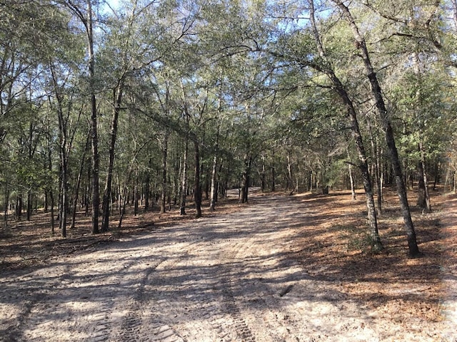 Listing photo 2 for 33ACRES Aplin Rd, Crestview FL 32539