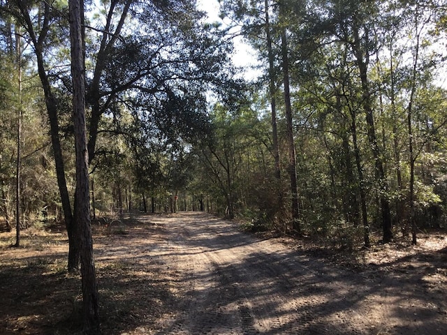 Listing photo 3 for 33ACRES Aplin Rd, Crestview FL 32539