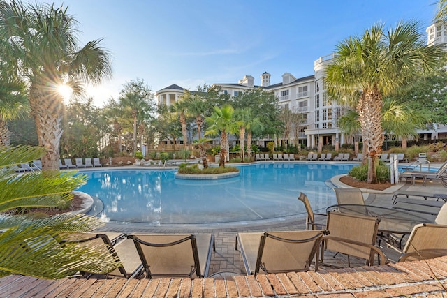 view of pool featuring a patio