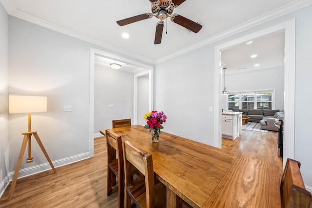 dining space featuring light wood-type flooring, ornamental molding, and ceiling fan