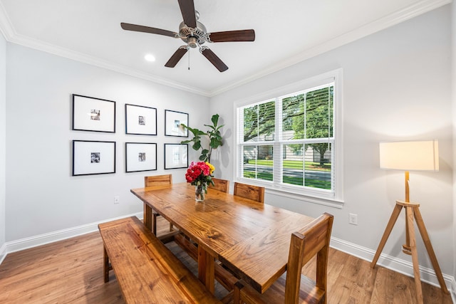 dining space featuring light hardwood / wood-style flooring, ceiling fan, and crown molding