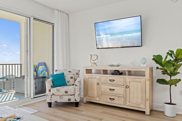 living area with light hardwood / wood-style floors