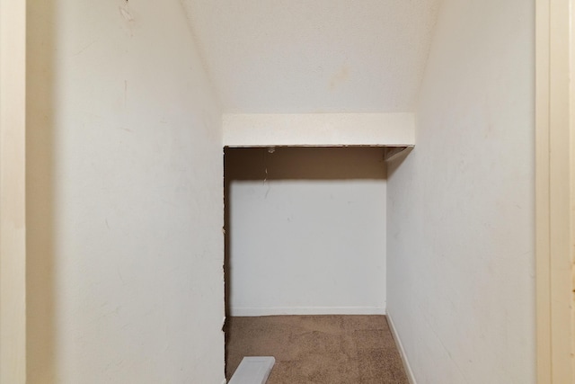 walk in closet with carpet and lofted ceiling