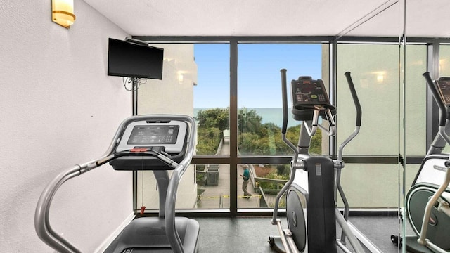 exercise area featuring floor to ceiling windows