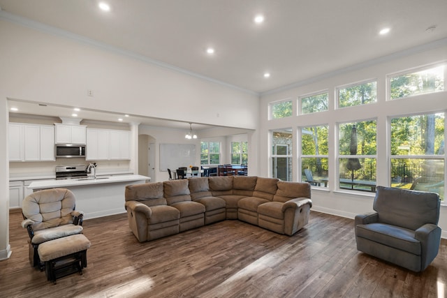 living room featuring a towering ceiling, plenty of natural light, crown molding, and hardwood / wood-style flooring