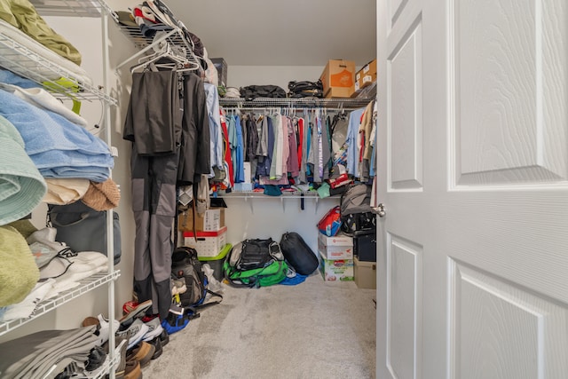 walk in closet featuring carpet flooring