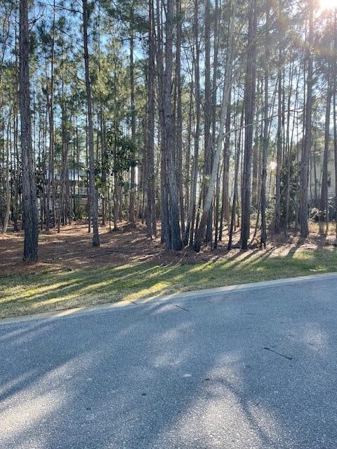 Listing photo 3 for LOT1-16 Mallard Ln, Santa Rosa Beach FL 32459