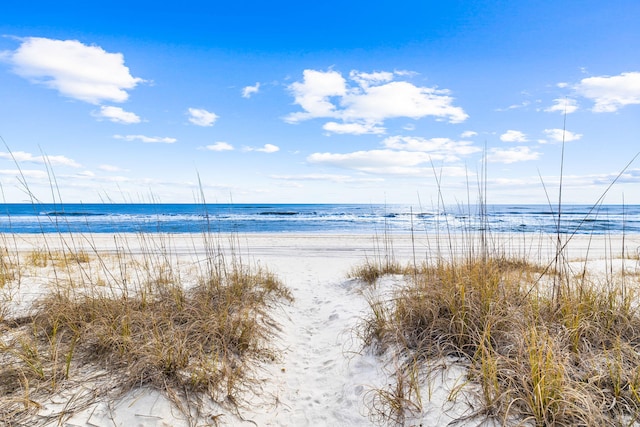 water view featuring a beach view