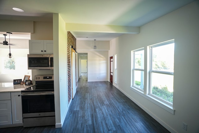 kitchen featuring dark hardwood / wood-style floors, a wealth of natural light, a barn door, and stainless steel appliances