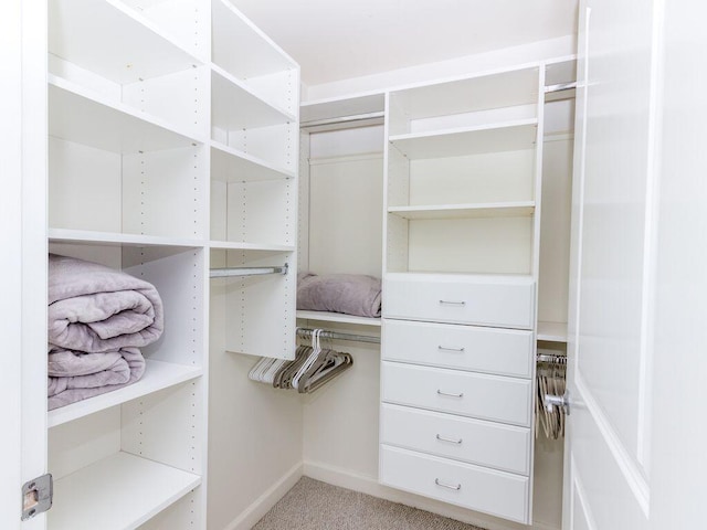 spacious closet with light colored carpet