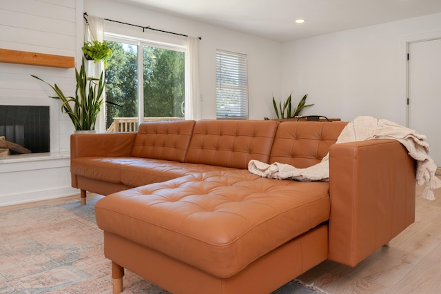 living room featuring light hardwood / wood-style floors