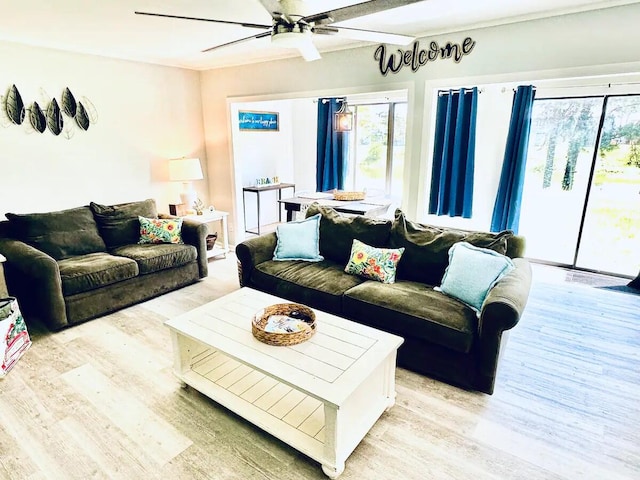 living room with ceiling fan, beam ceiling, and light hardwood / wood-style floors