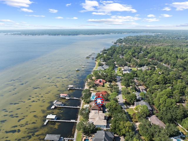 aerial view featuring a water view and a view of trees