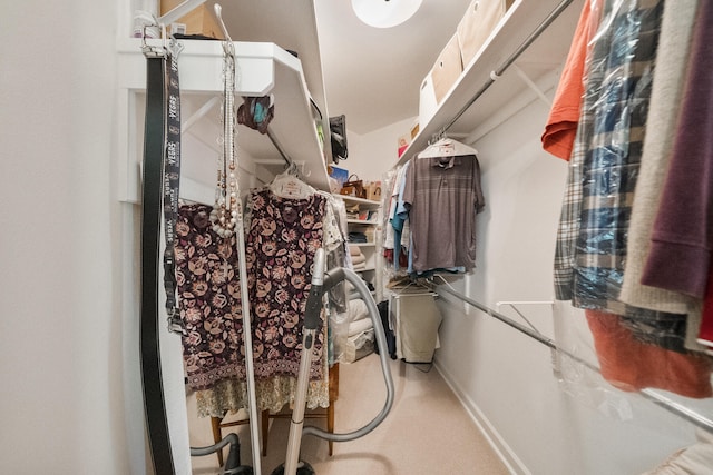 spacious closet with carpet