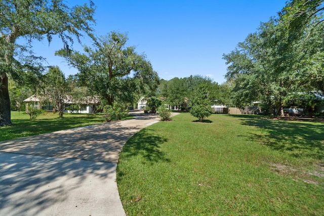 view of community with a yard