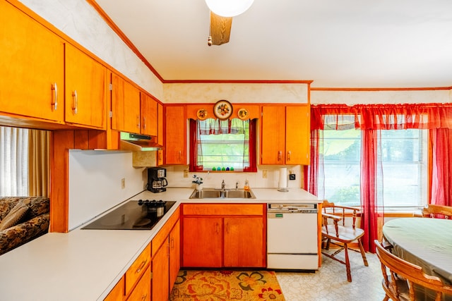 kitchen featuring black electric stovetop, dishwasher, sink, crown molding, and ceiling fan