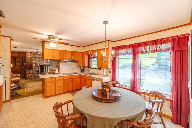 kitchen with sink, stovetop, hanging light fixtures, white dishwasher, and ceiling fan