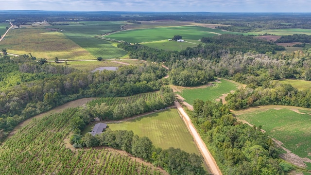 drone / aerial view with a rural view