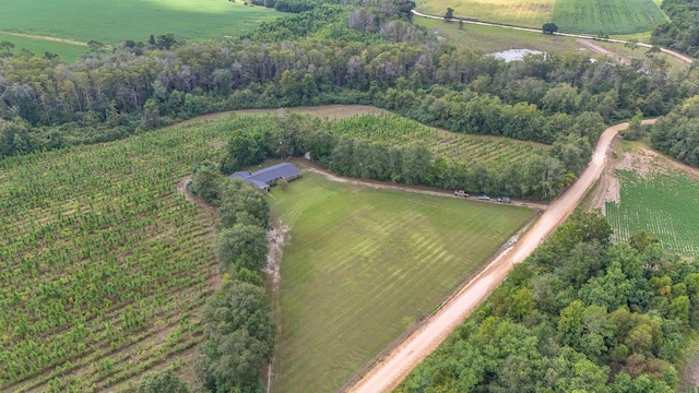 drone / aerial view featuring a rural view