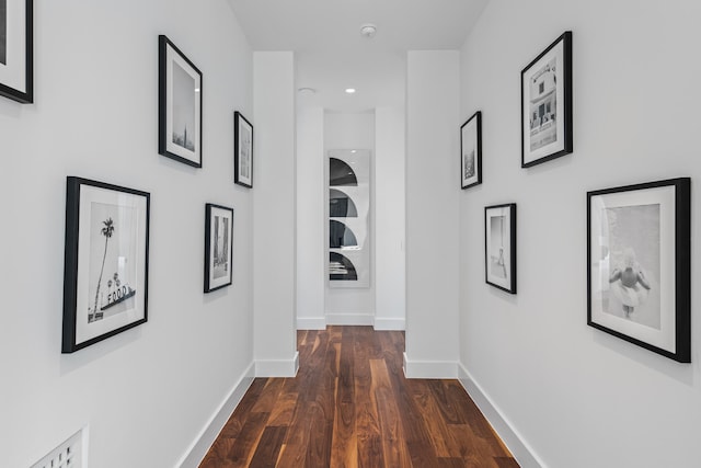 hall featuring dark wood-type flooring