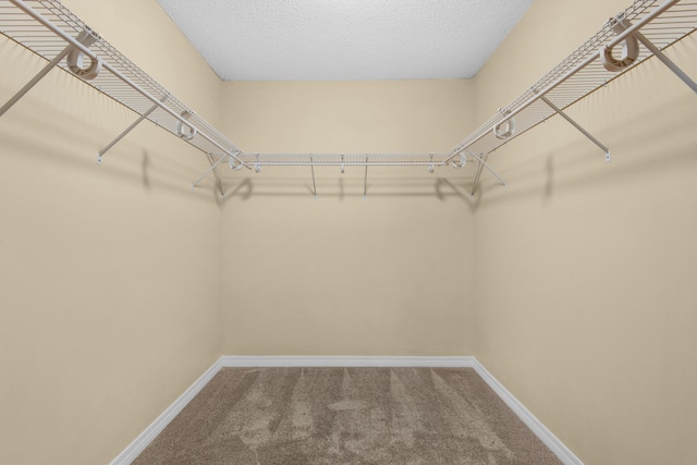 spacious closet featuring carpet floors