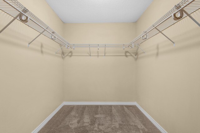 880 Brande Ct, Shalimar, FL 32579 - spacious closet featuring carpet