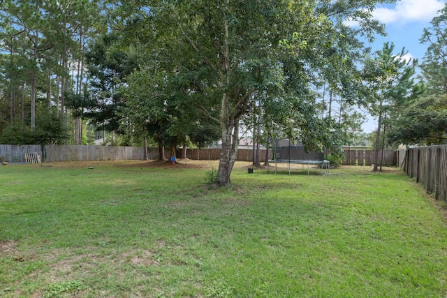 view of yard with a trampoline