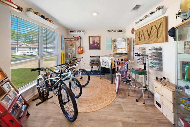 playroom with light hardwood / wood-style floors