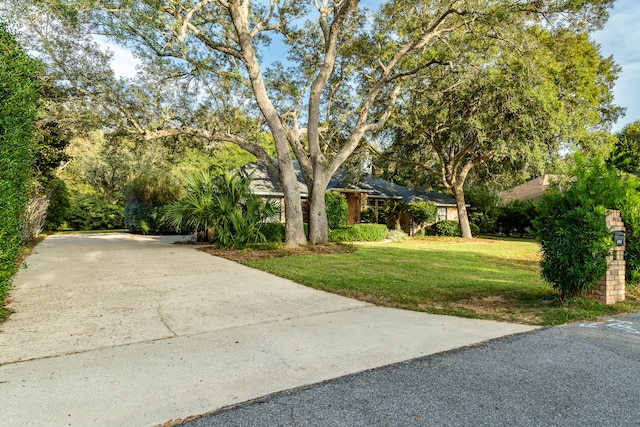 view of front facade with a front lawn