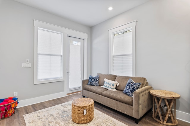 living room with dark wood-type flooring