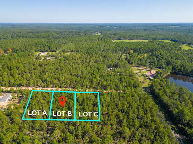 Listing photo 2 for LotB Avocado Lane, Defuniak Springs FL 32433