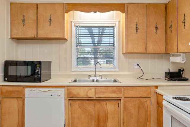 kitchen featuring dishwasher and sink