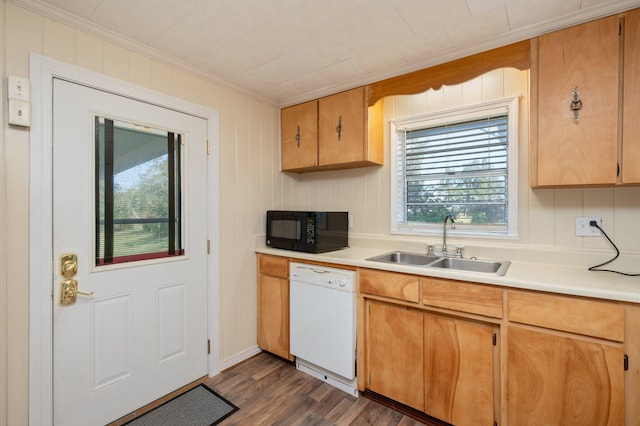 kitchen with dark wood-type flooring, ornamental molding, sink, and white dishwasher