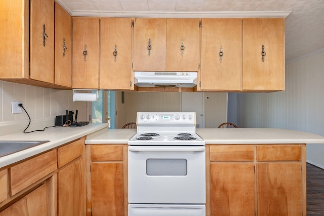 kitchen featuring kitchen peninsula, electric range, crown molding, and dark hardwood / wood-style flooring