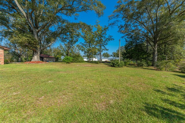 18040 US Highway 331 N, Defuniak Springs, FL 32433 - view of green lawn