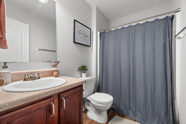 bathroom featuring vanity, toilet, and wood-type flooring