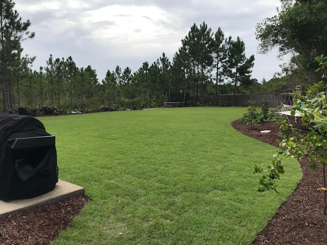 view of yard with a trampoline