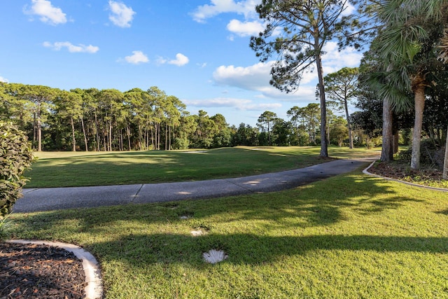 surrounding community featuring a yard