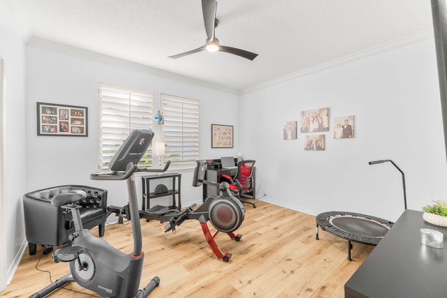 exercise room featuring crown molding, a ceiling fan, baseboards, and wood finished floors
