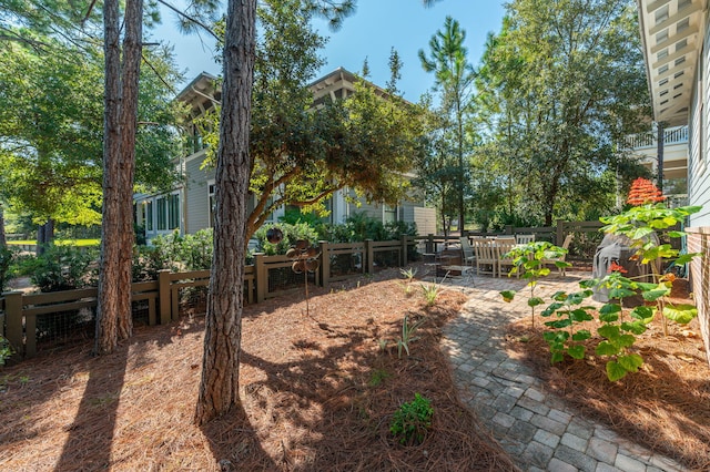 view of yard with a patio