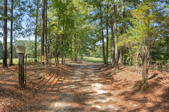 view of road