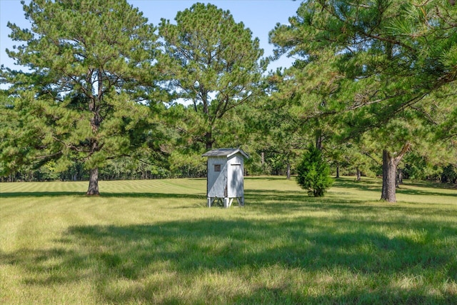 view of yard featuring a storage shed