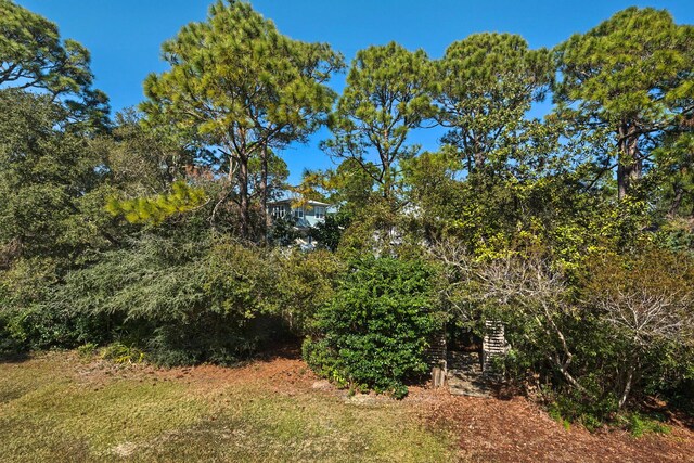 59 N Myrtle Dr Unit 207, Santa Rosa Beach, FL 32459 - view of yard