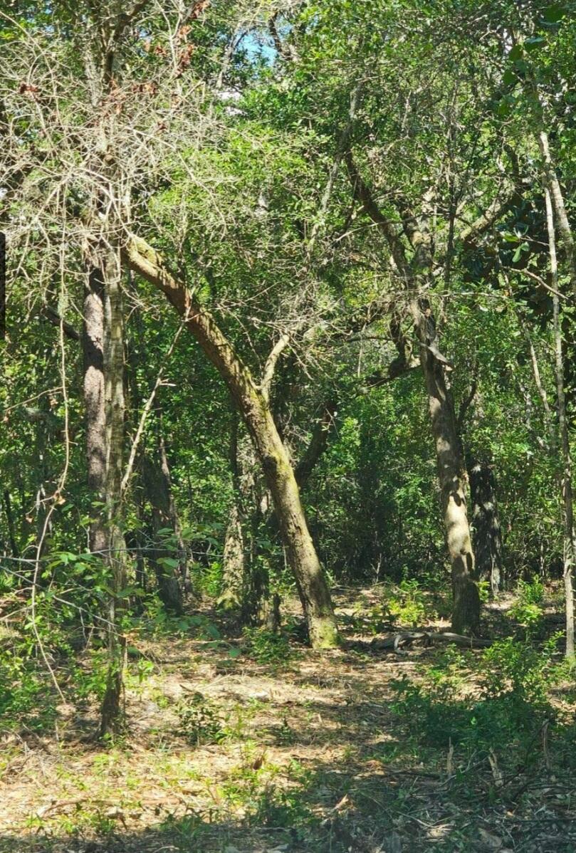 LOTS1 Gum St, Freeport, FL 32439 - photo 1