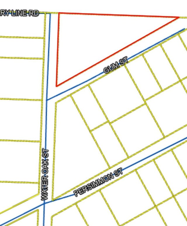 LOTS1 Gum St, Freeport, FL 32439 - photo 3