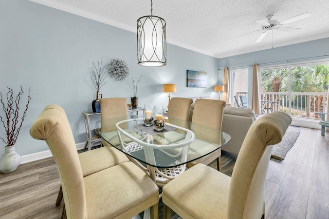 dining space with crown molding, a textured ceiling, wood-type flooring, and ceiling fan